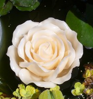 Schwimmkerze 'Rosenbl�te' creme 15 cm