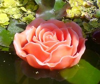 Schwimmkerze 'Rosenbl�te' orange 15 cm