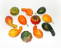 Krbisse aus Kunststoff 12er-Set